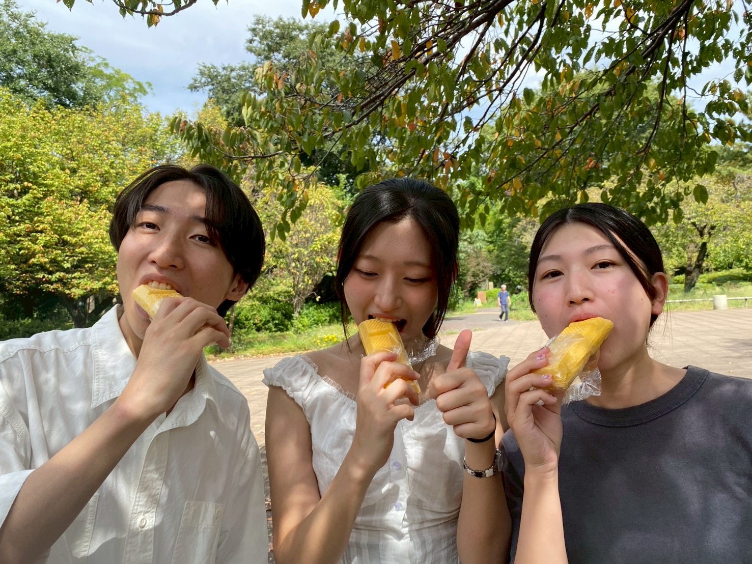 ピクニックの様子